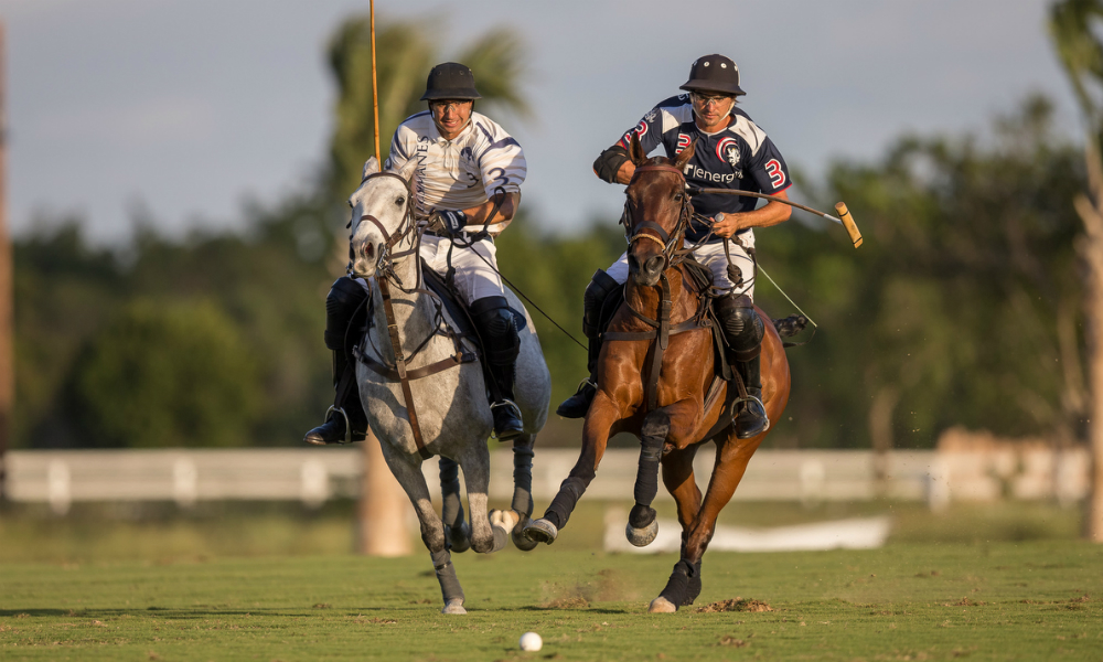 Polo players at full gallop during the Cap Cana Polo Cup at Los Establos